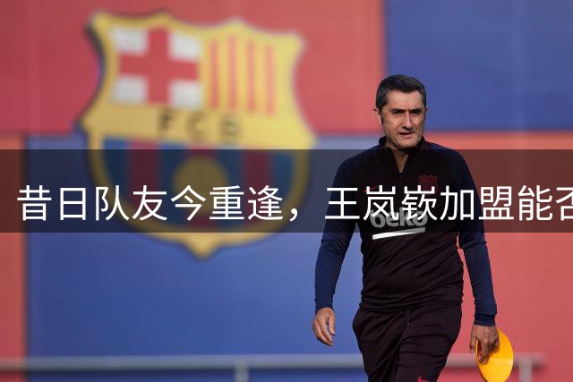 昔日队友今重逢，王岚嵚加盟能否激活陈培东？
